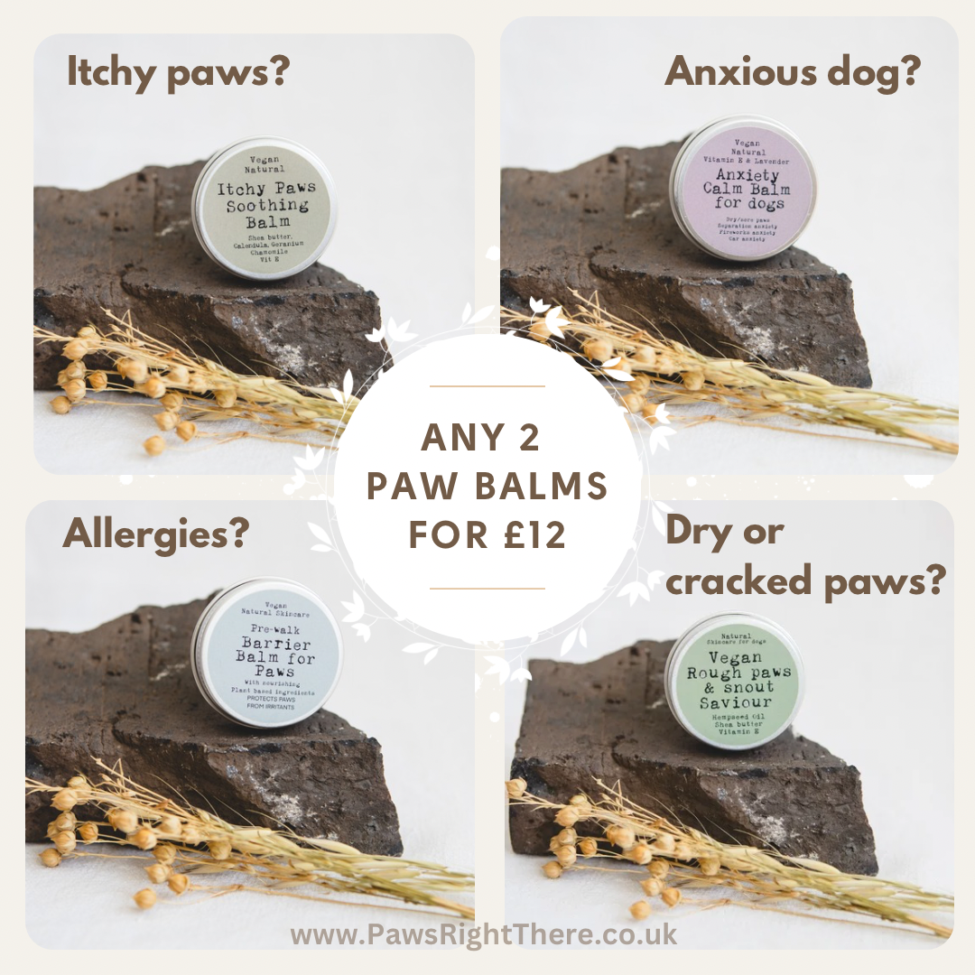 Itchy Paw Balm Soothing Relief for Dogs