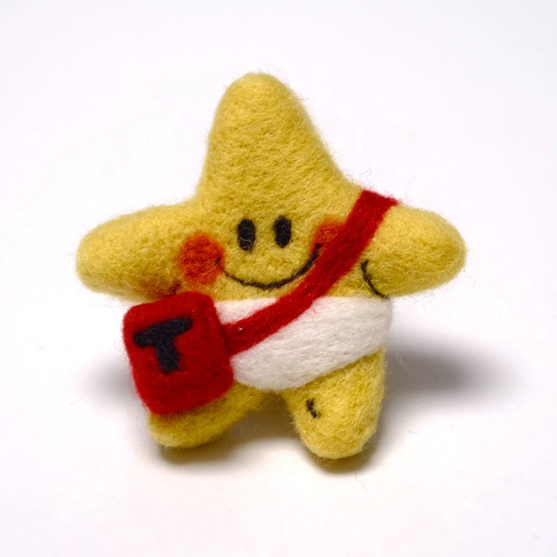 Star and Bag Needle Felted Brooch