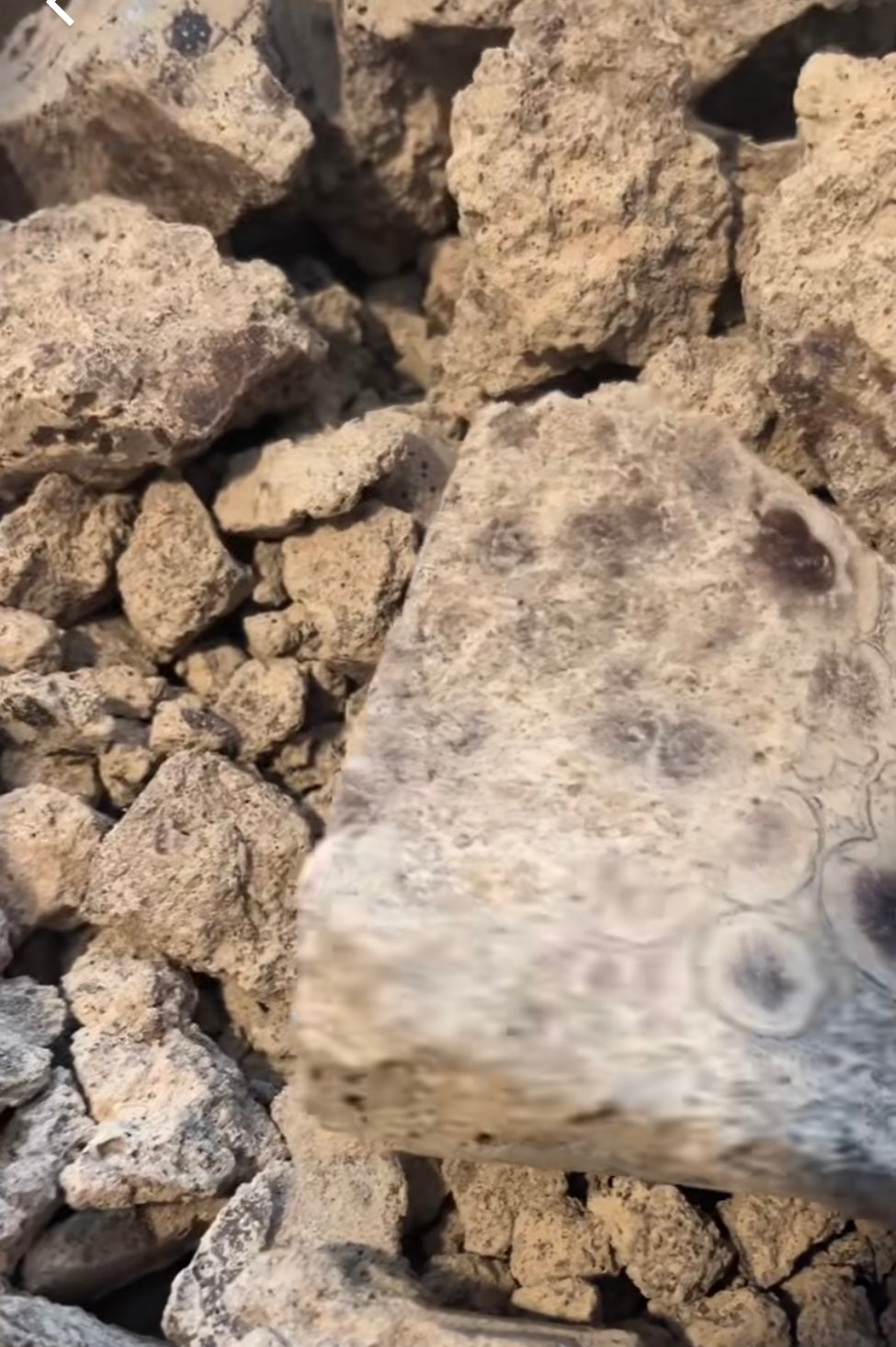 Mexican Ceremonial Cacao
