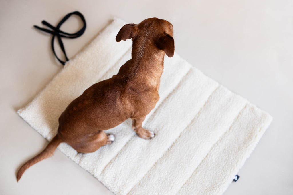 Travel Mat Sherpa