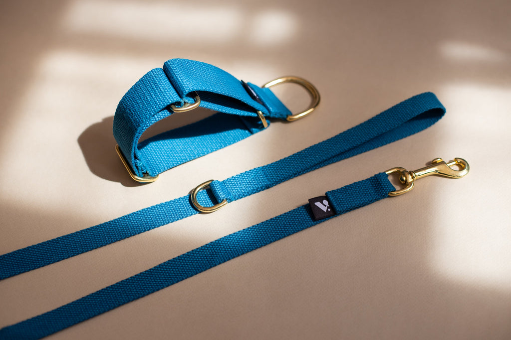 Cotton Martingale Collar for Dogs