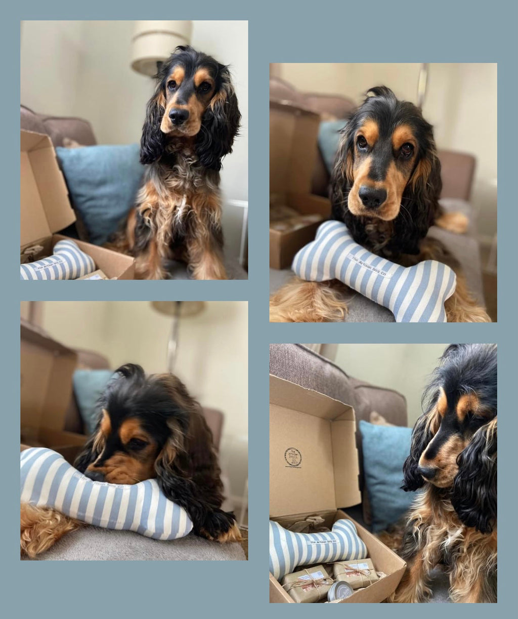 Dog Grooming and Pampering Gift Set with Fabric Choice Toy Bone