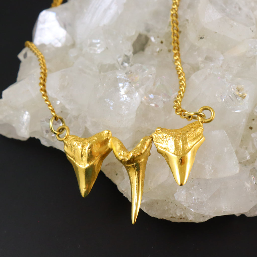 Sharks triple tooth necklace