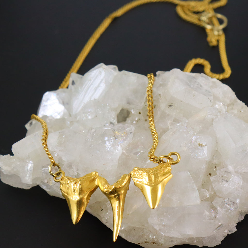 Sharks triple tooth necklace
