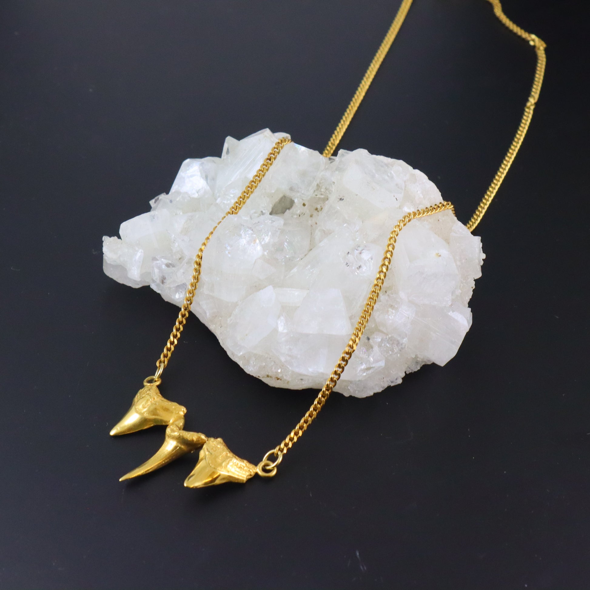 Sharks triple tooth necklace