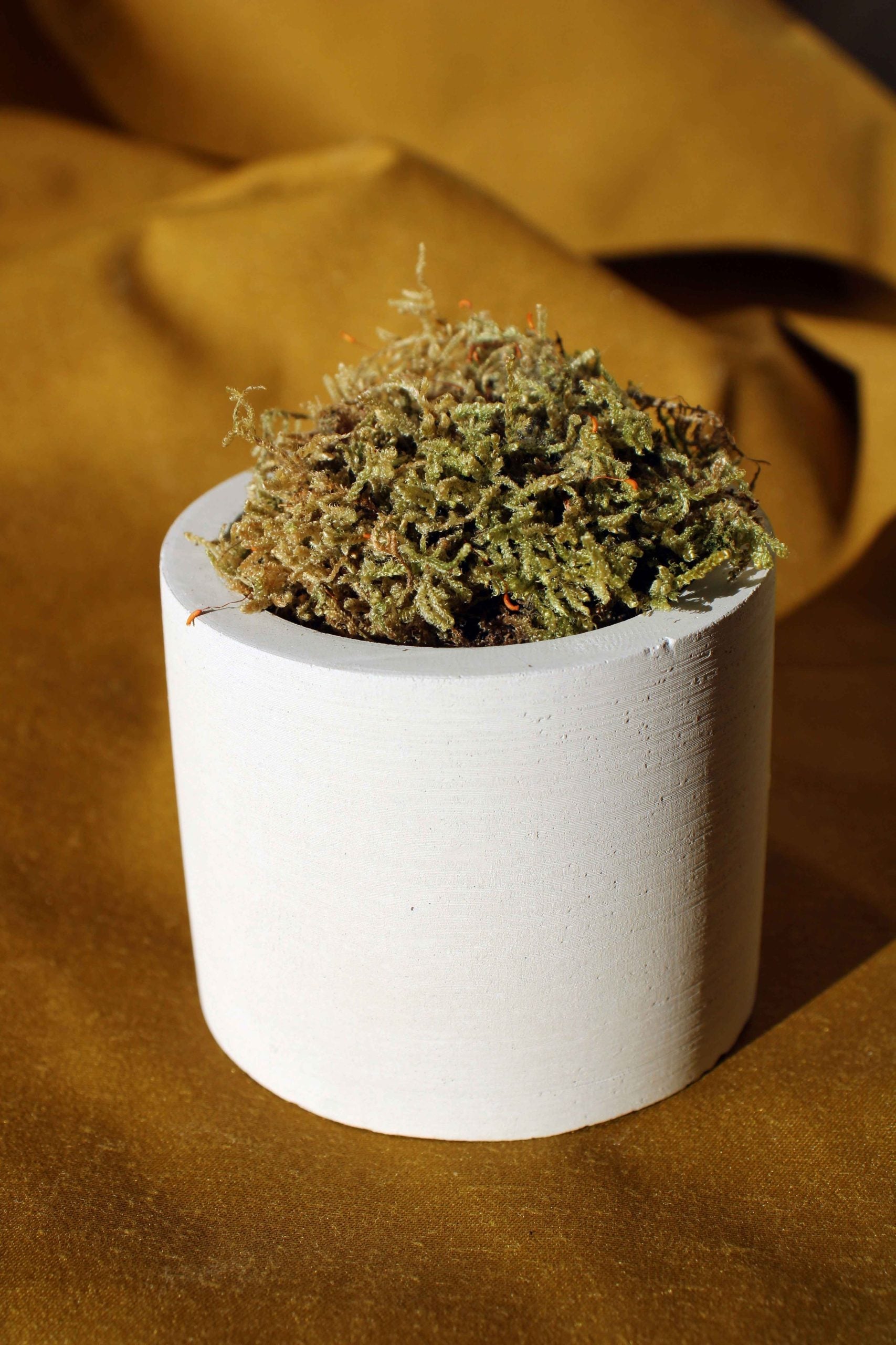 Concrete Cylinder Tealight Holder