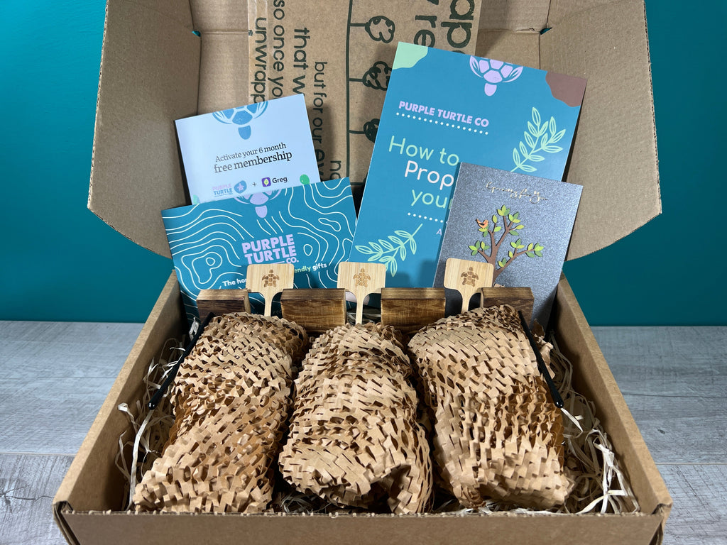 Plant Propagation Gift Set #3