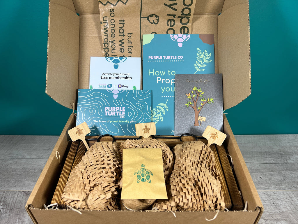 Plant Propagation Gift Set #2