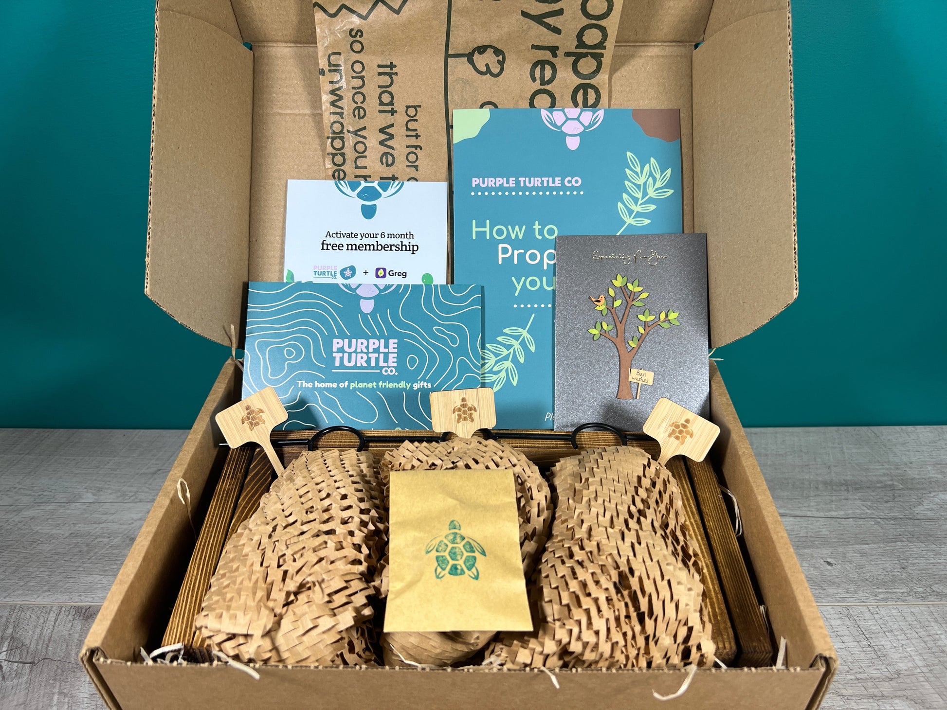 Plant Propagation Gift Set #2