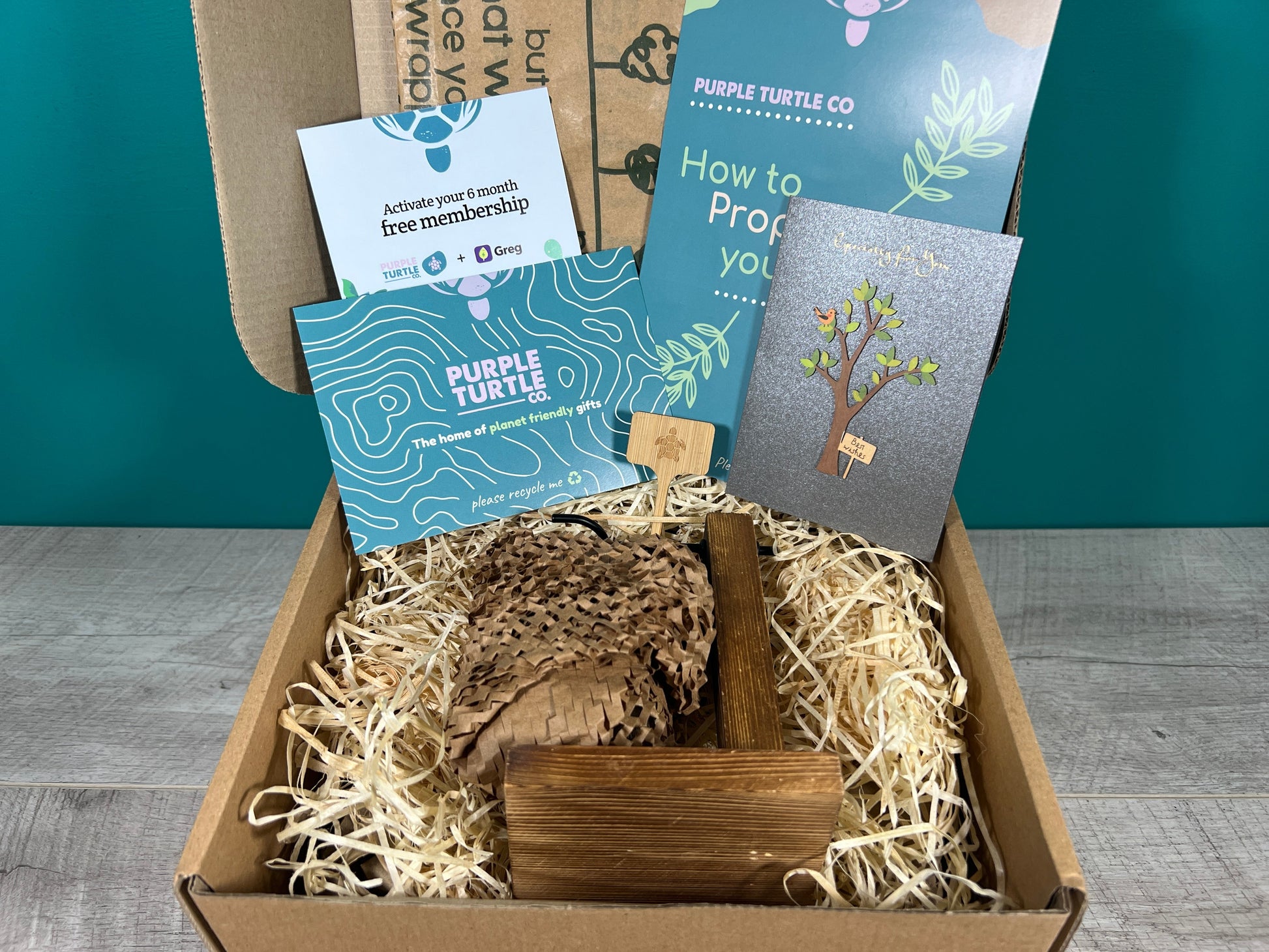 Plant Propagation Gift Set #1