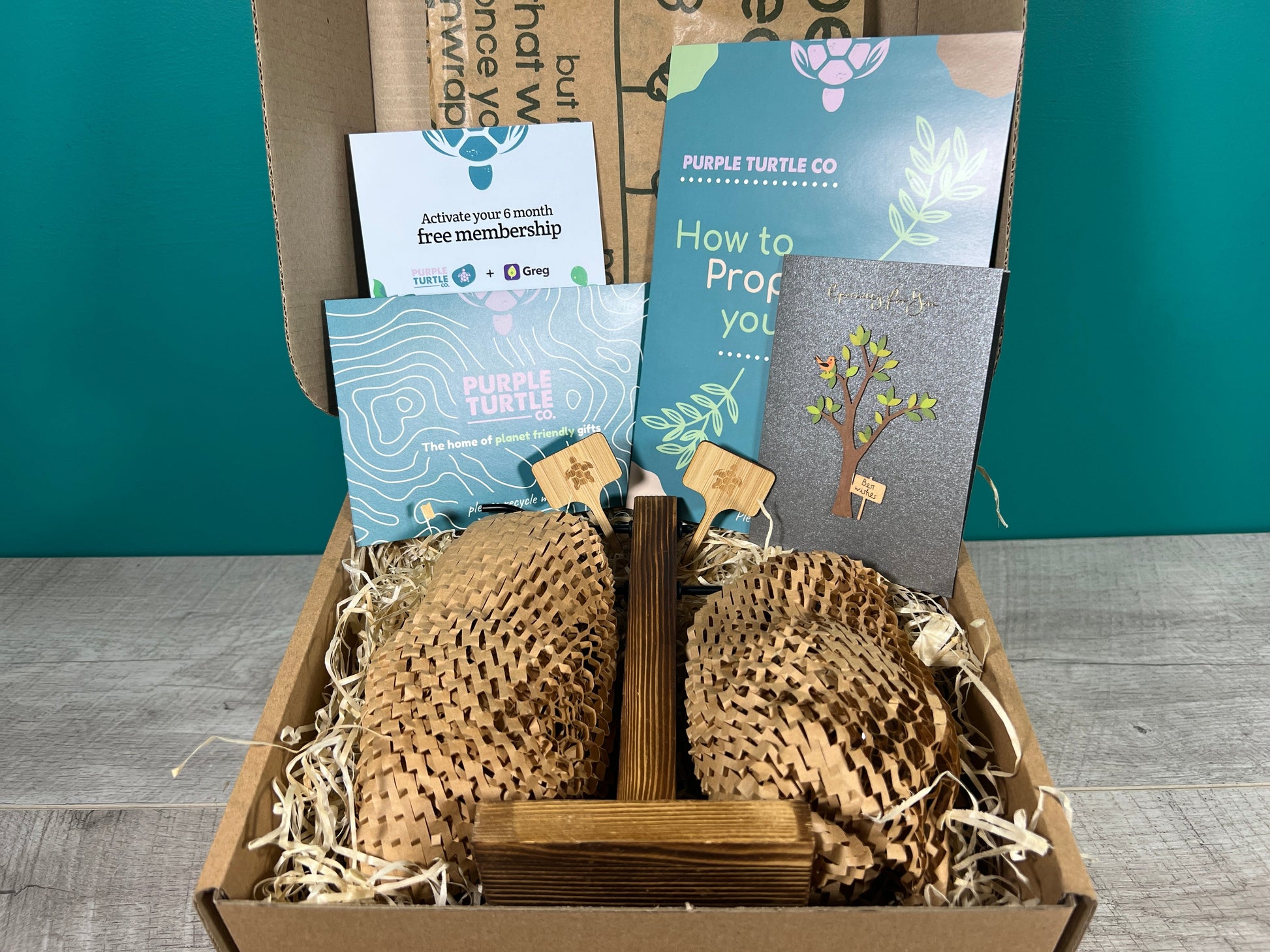 Plant Propagation Gift Set #1