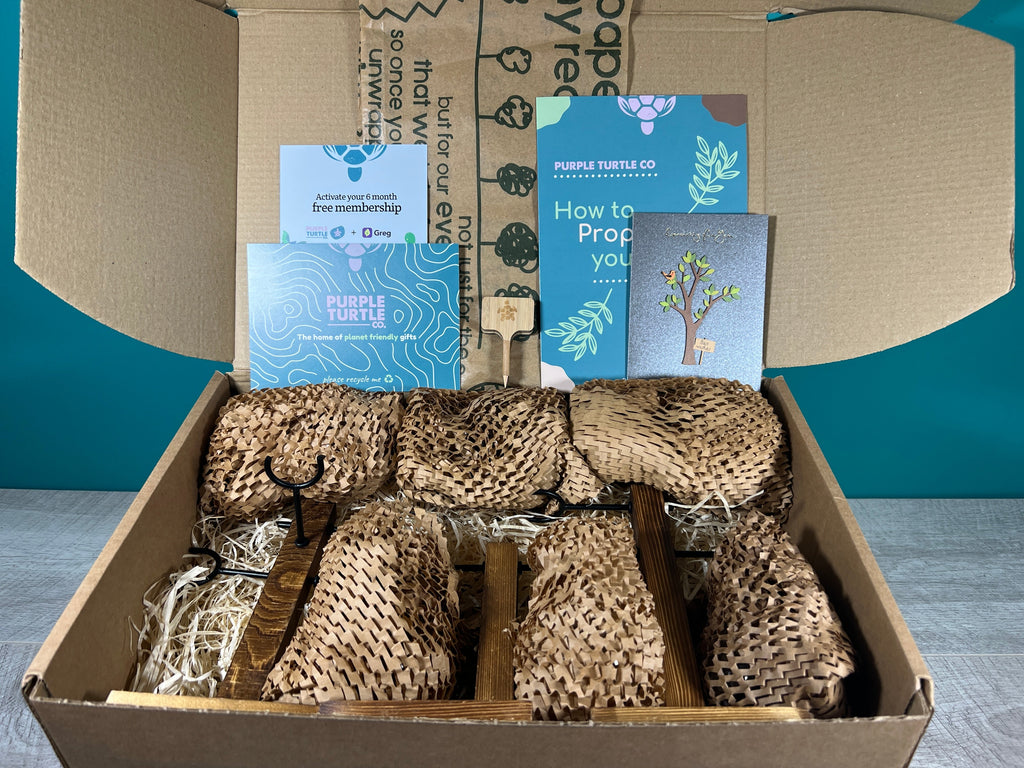 Plant Propagation Gift Set #1