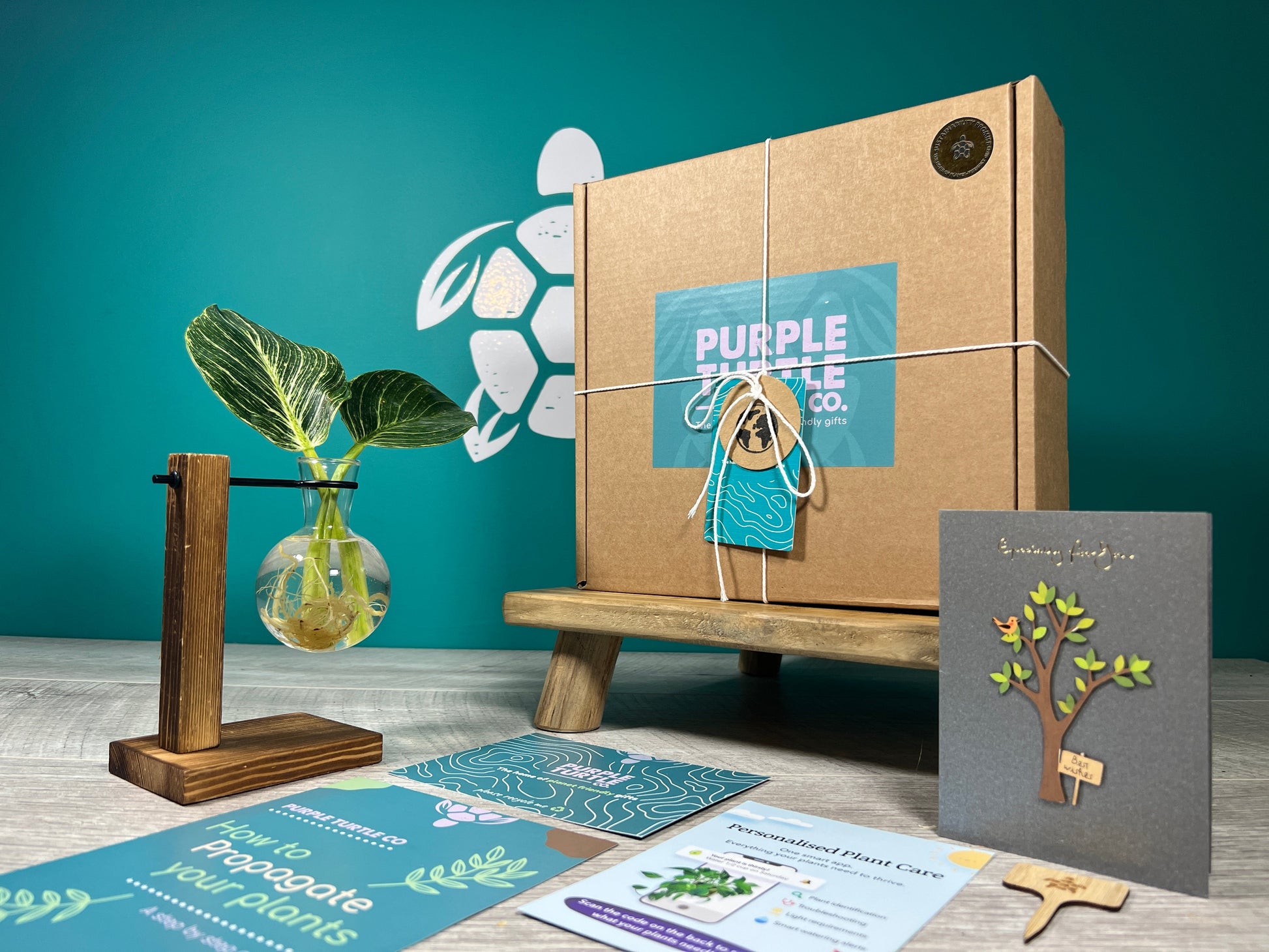 Plant Propagation Gift Set #1