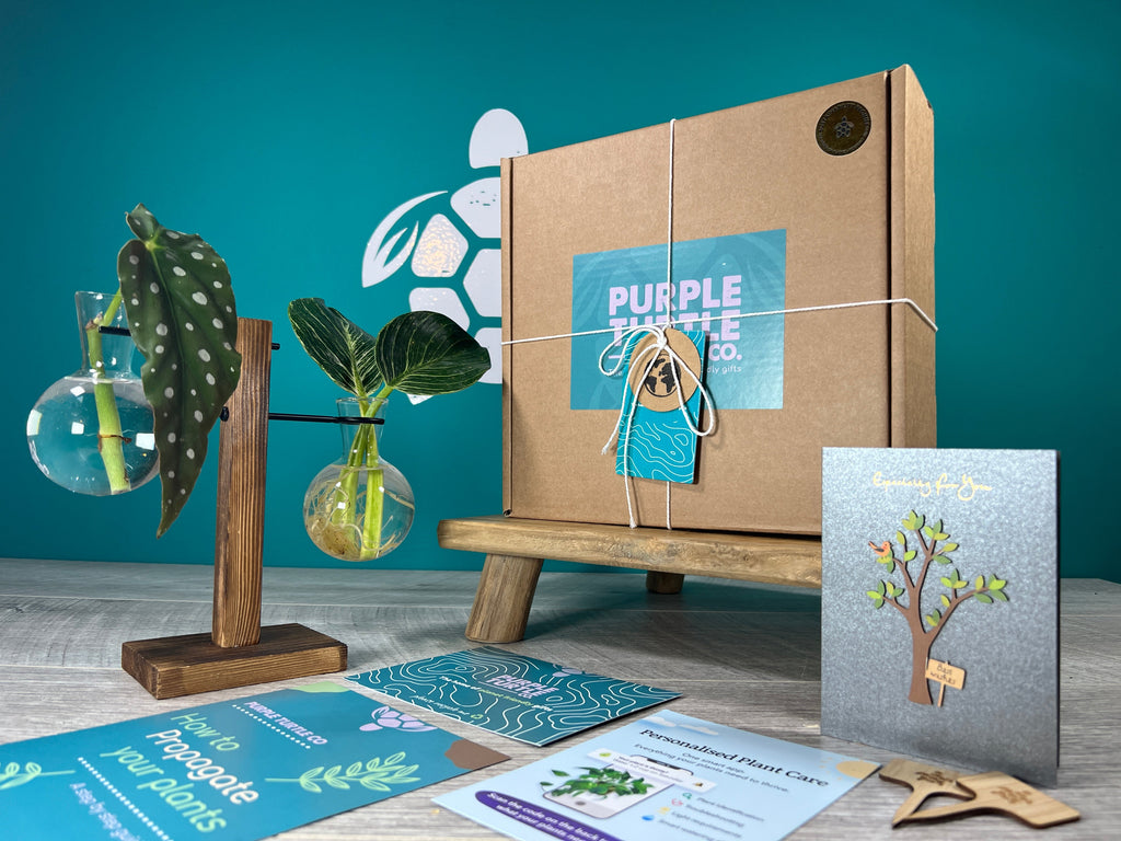 Plant Propagation Gift Set #1