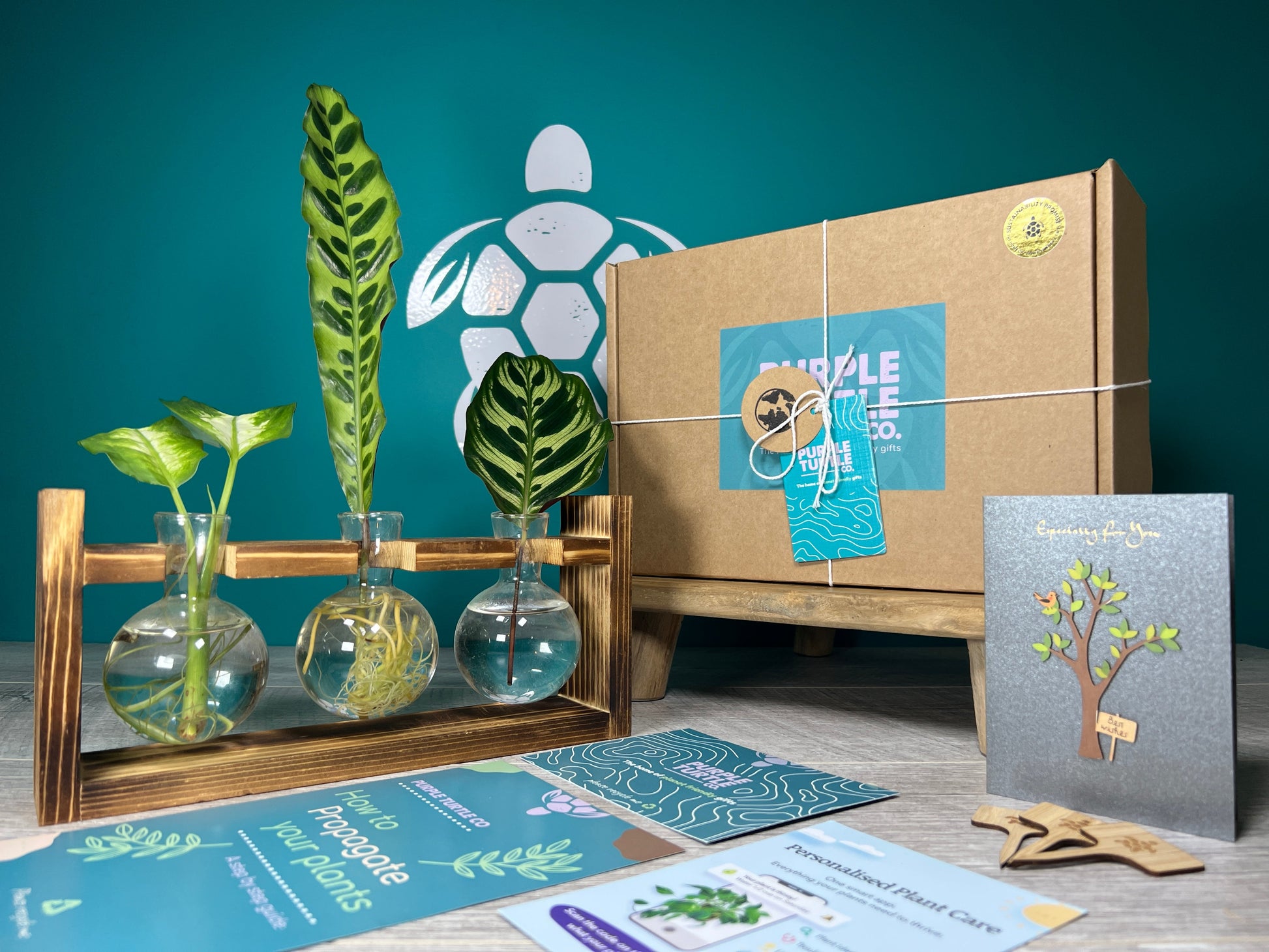 Plant Propagation Gift Set #5