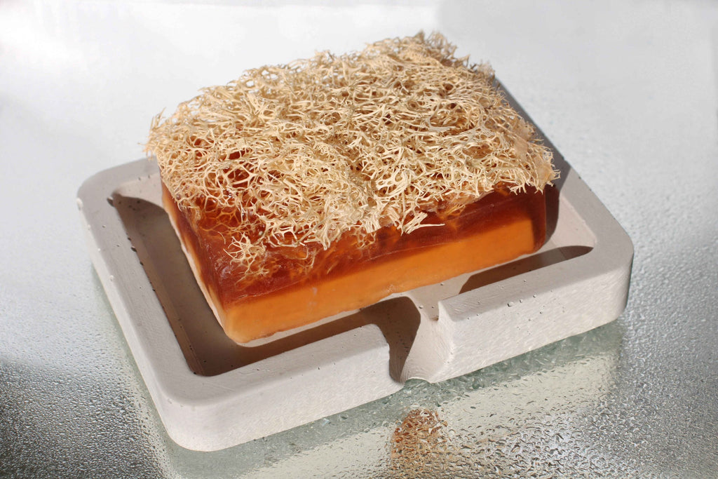 White Concrete Soap Holder