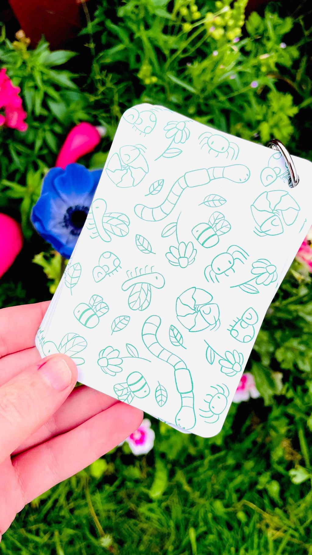 Nature flashcards - Garden Bugs Illustrated Identification Cards