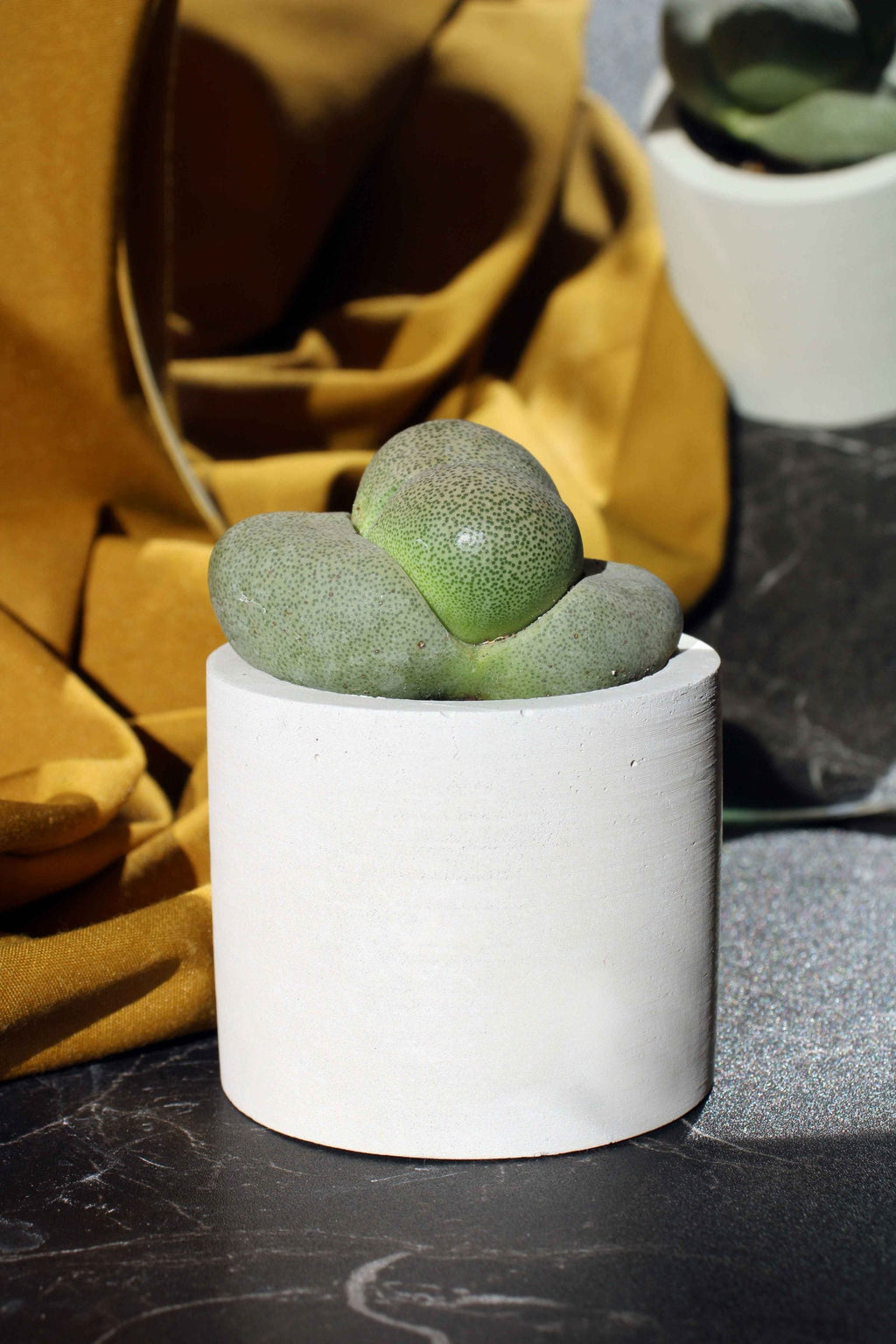 Concrete Cylinder Tealight Holder