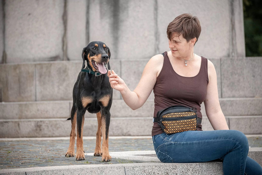 Spacious Dog Treat Pouch – Secure & Adjustable Storage by Drinbags at www.brixbailey.com