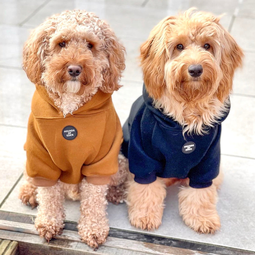 Dog Hoodie - Black