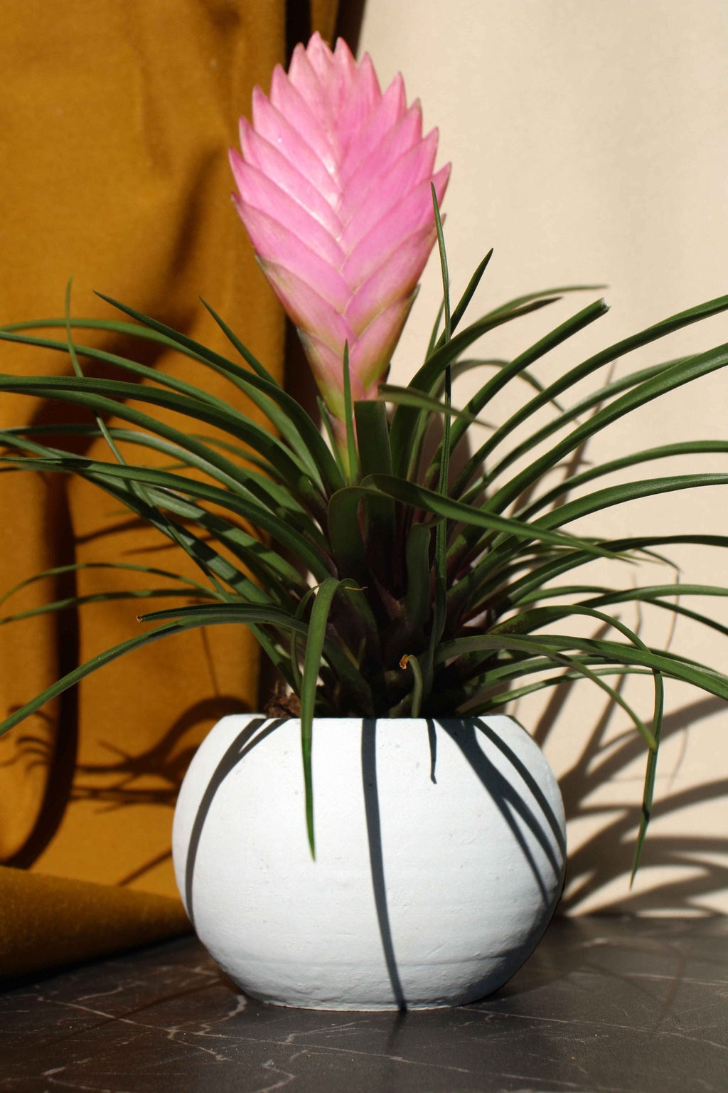 Handmade Concrete Round Planter Pot