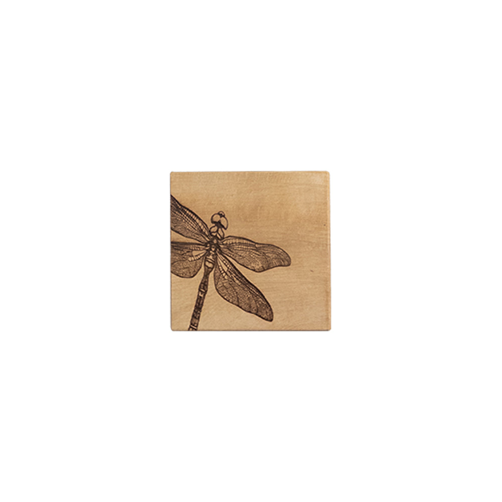 Dragonfly Beech Single Coaster