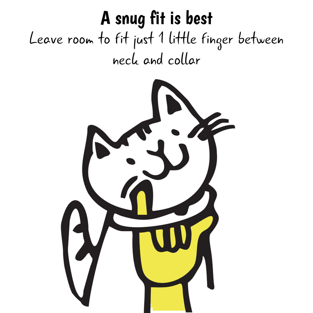 KITTYRAMA BERMUDA CAT COLLAR - Quick Release, Breakaway, Hypoallergenic