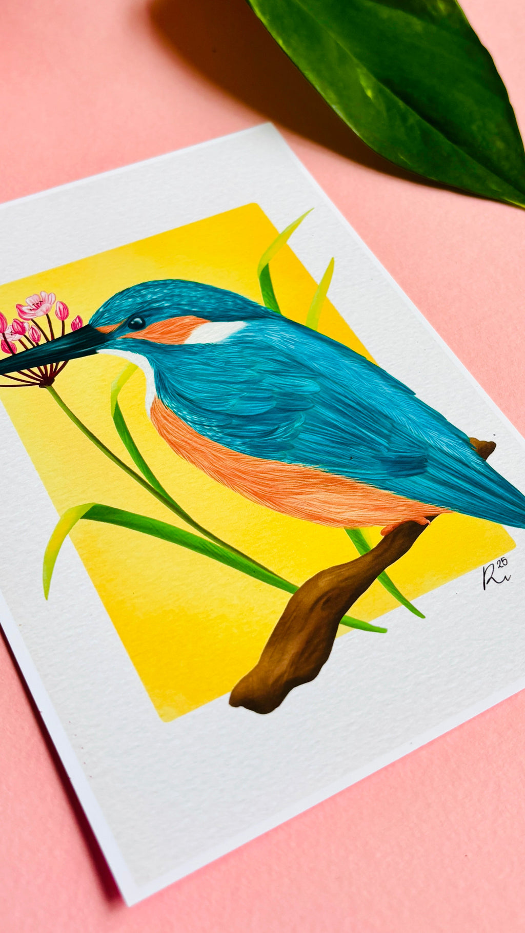 Kingfisher Wildlife and Botanical Art Print- British Birds Wall Art for Nature Lovers