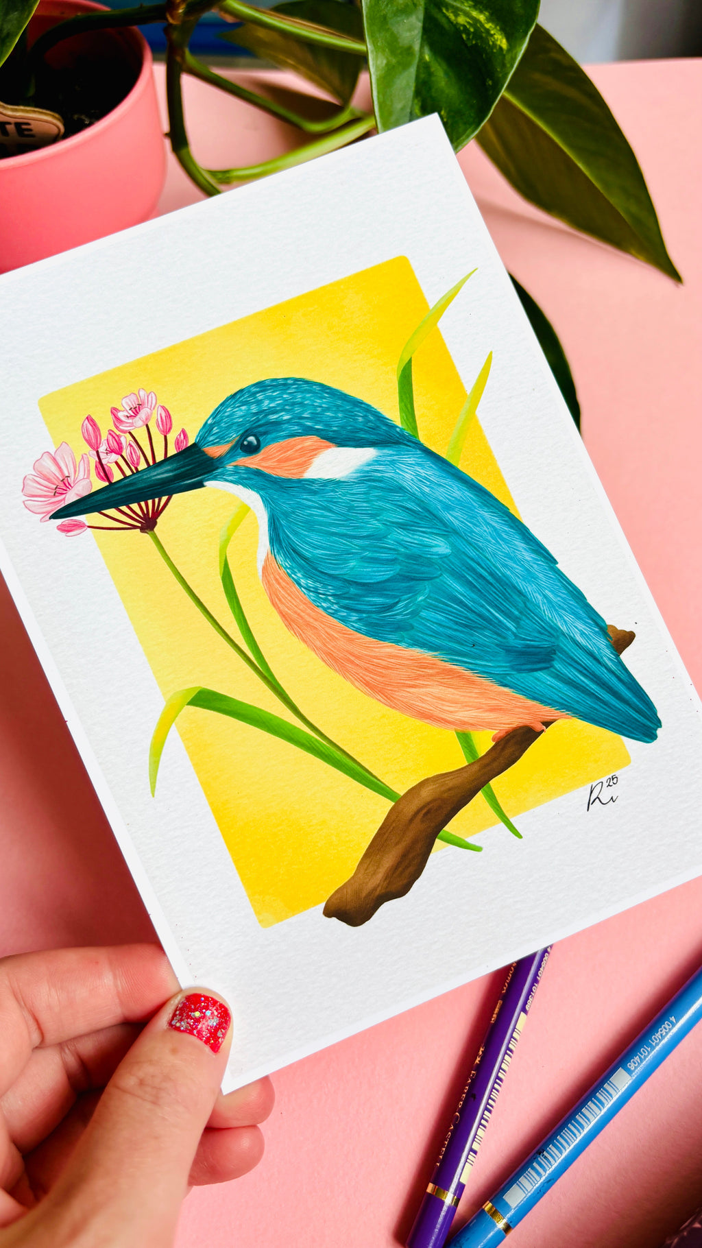 Kingfisher Wildlife and Botanical Art Print- British Birds Wall Art for Nature Lovers