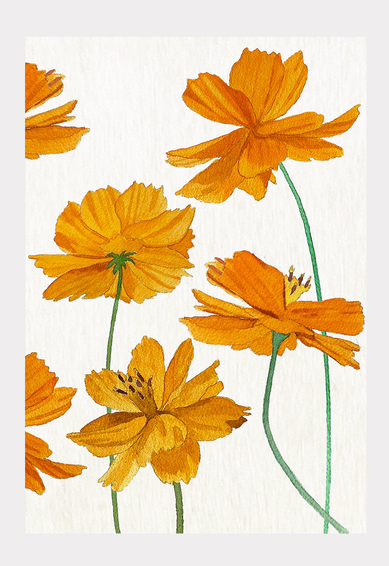 Orange Cosmos on Snow Art Print