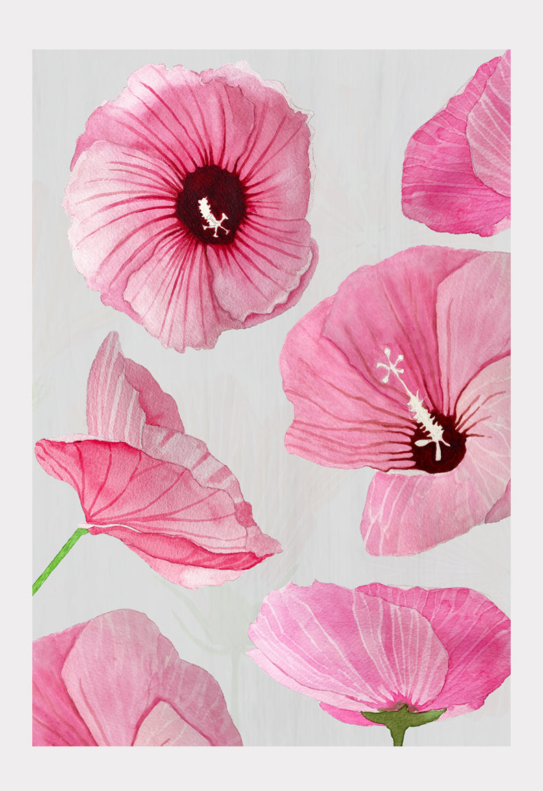 Pink Rose of Sharon Art Print on Taupe