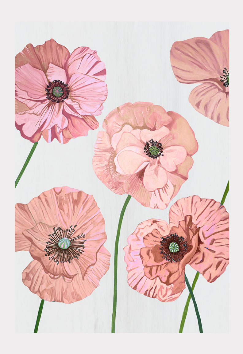 Rose Poppies on Pale Grey Art Print