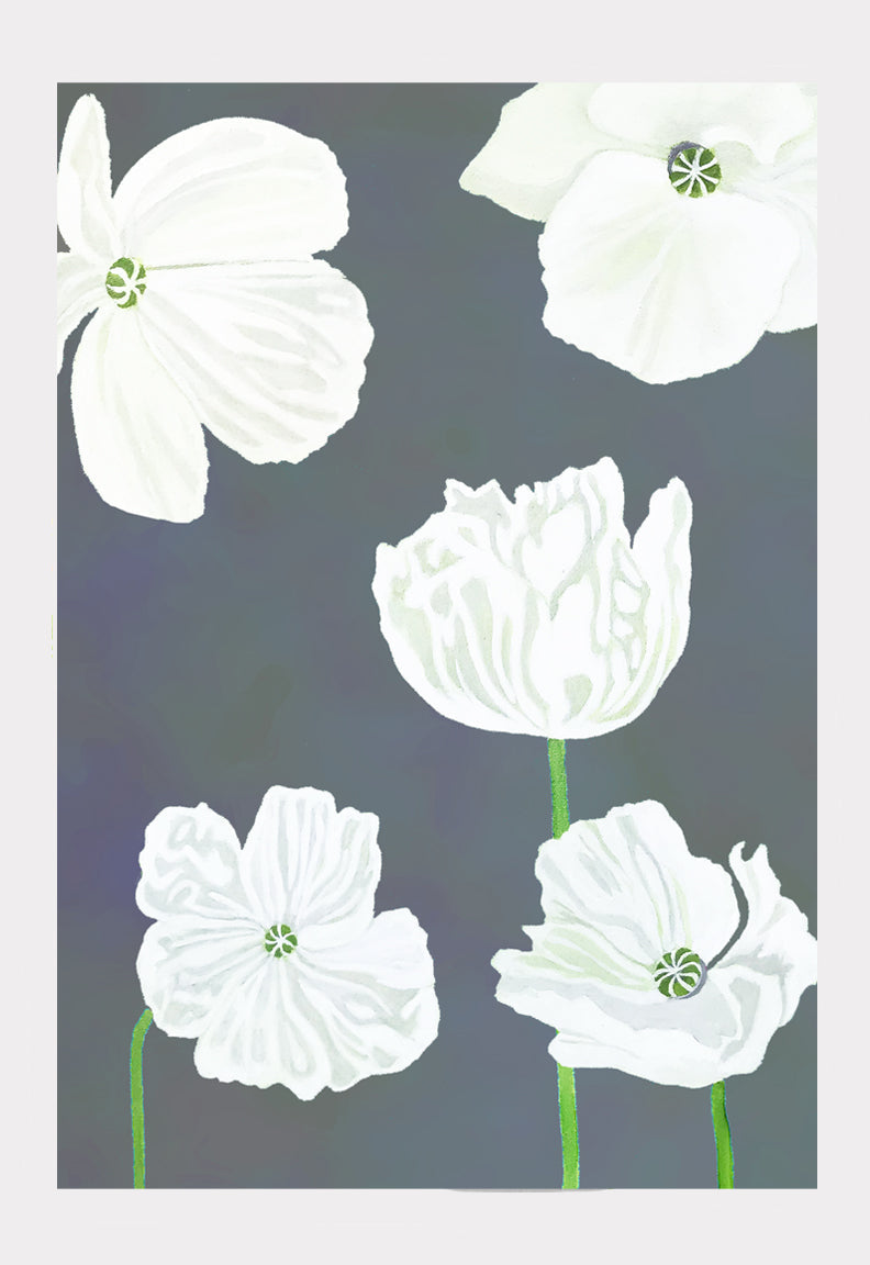 White Poppies on Moody Blue Art Print