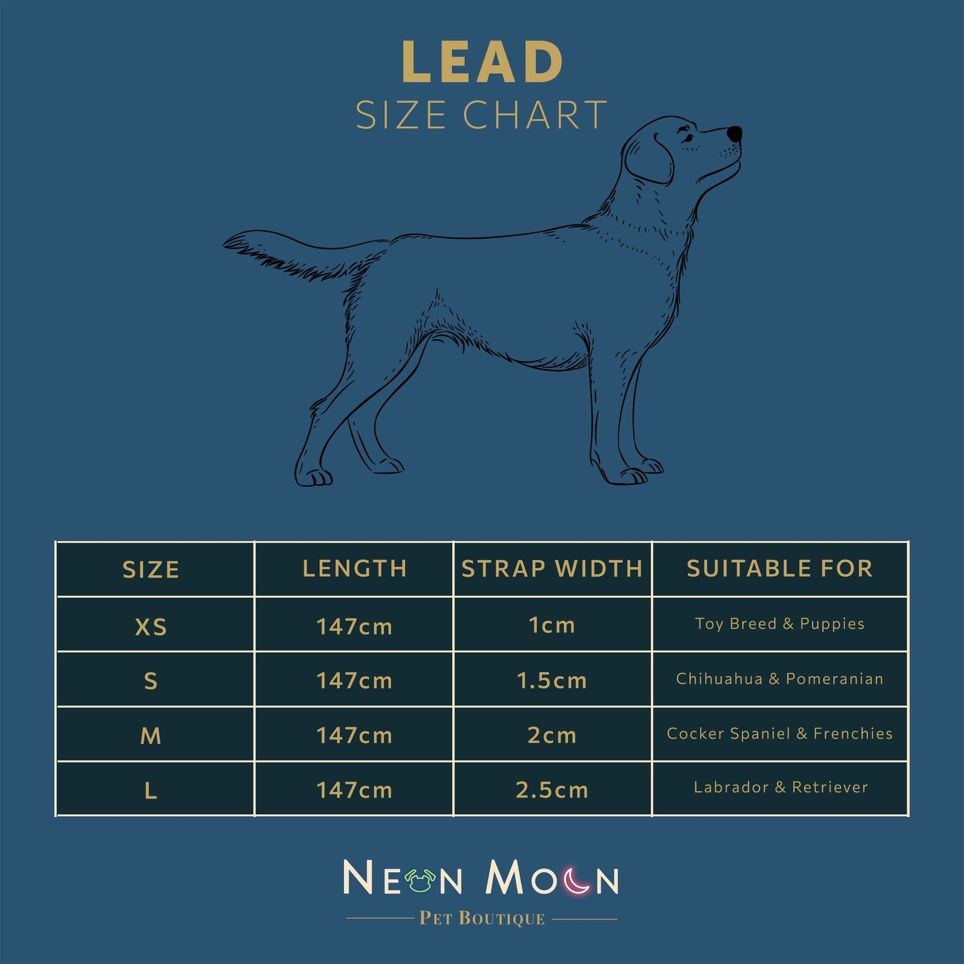 Minnie Lead Dog Lead with Padded Handle