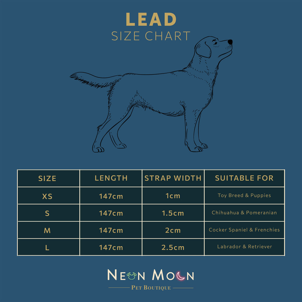 Willow Dog Lead with Padded Handle