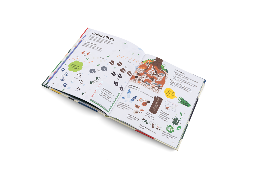 Let's Play Outdoors Book for Children