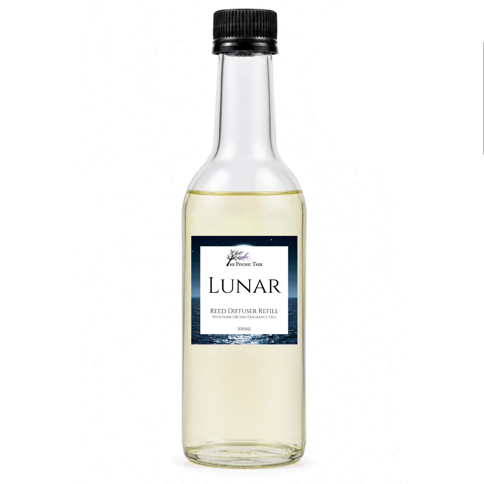 Lunar Crystal Infused Reed Diffuser with Moonstone