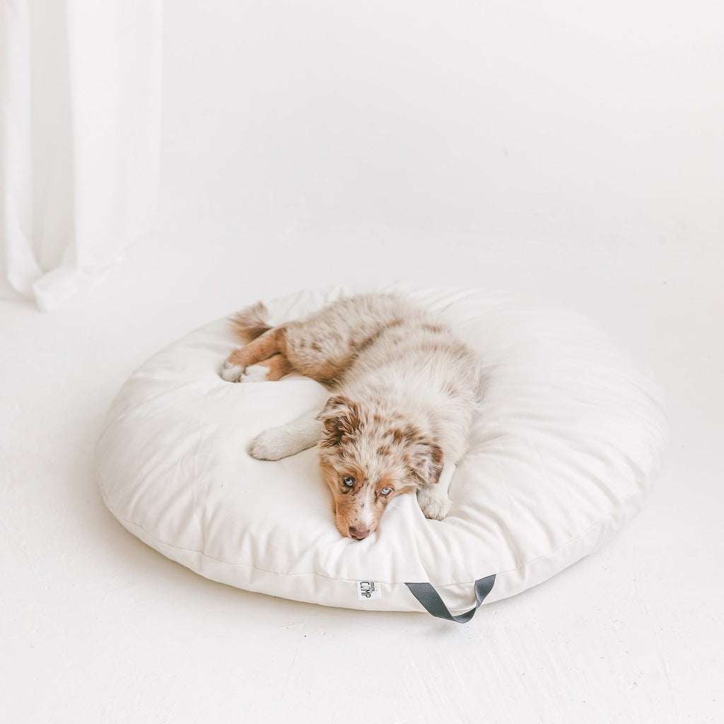 Lounger Floor Pillow with Handle in Milk Canvas
