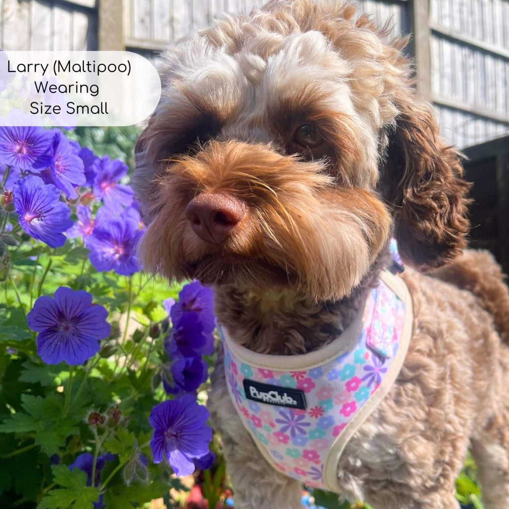 Adjustable Harness - Pretty Petals