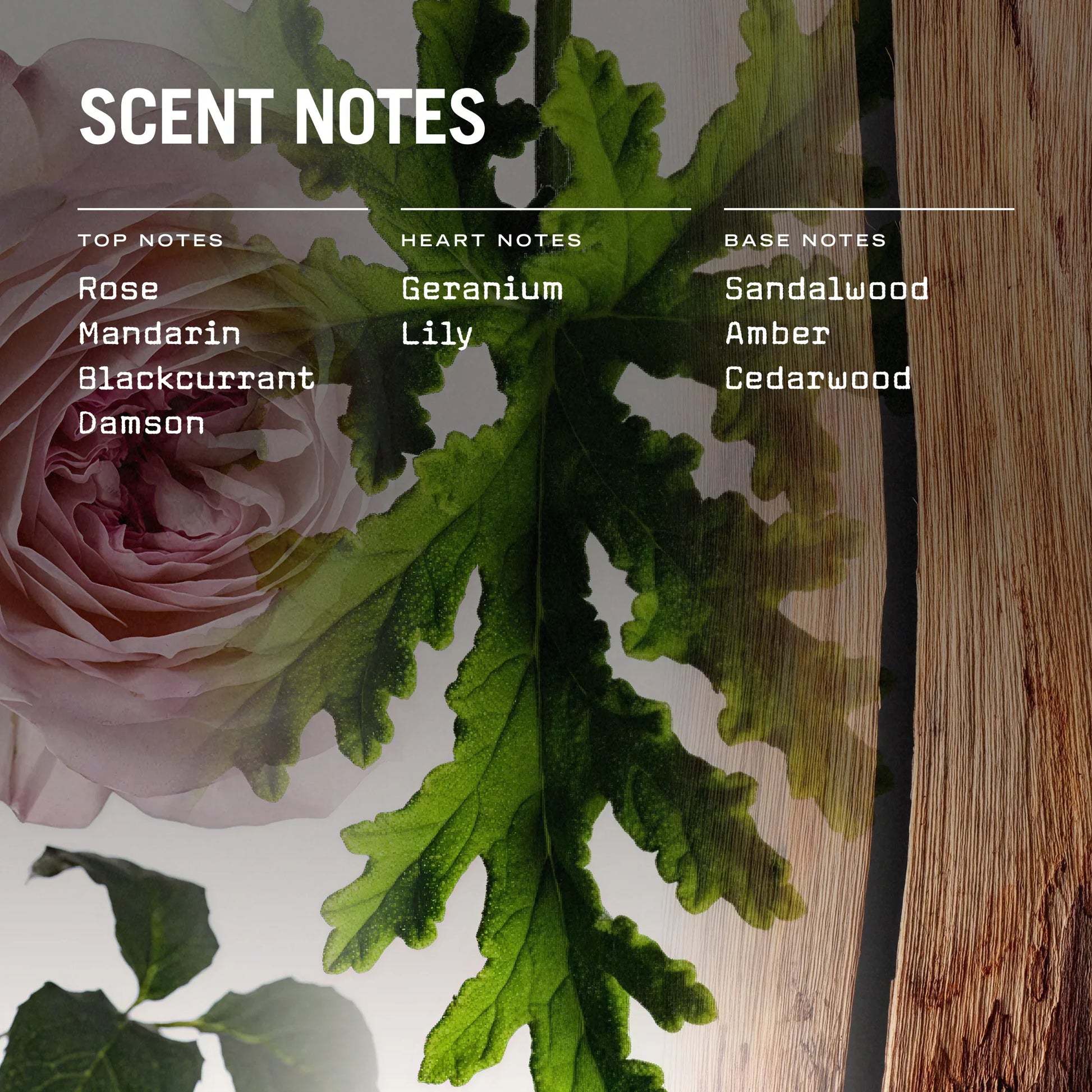 Medina Rose 250g Scented Candle Refill