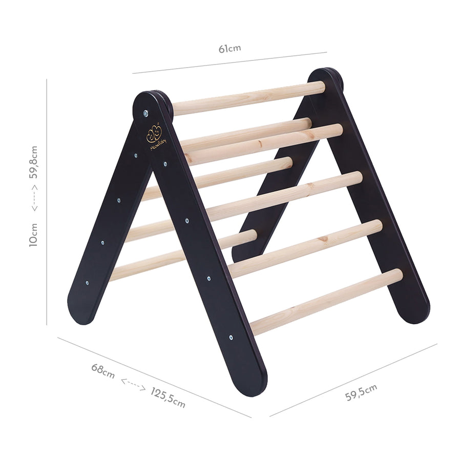 2-in-1 Montessori Ladder & Slide – Indoor/Outdoor Kids Playground by MeowBaby at www.brixbailey.com