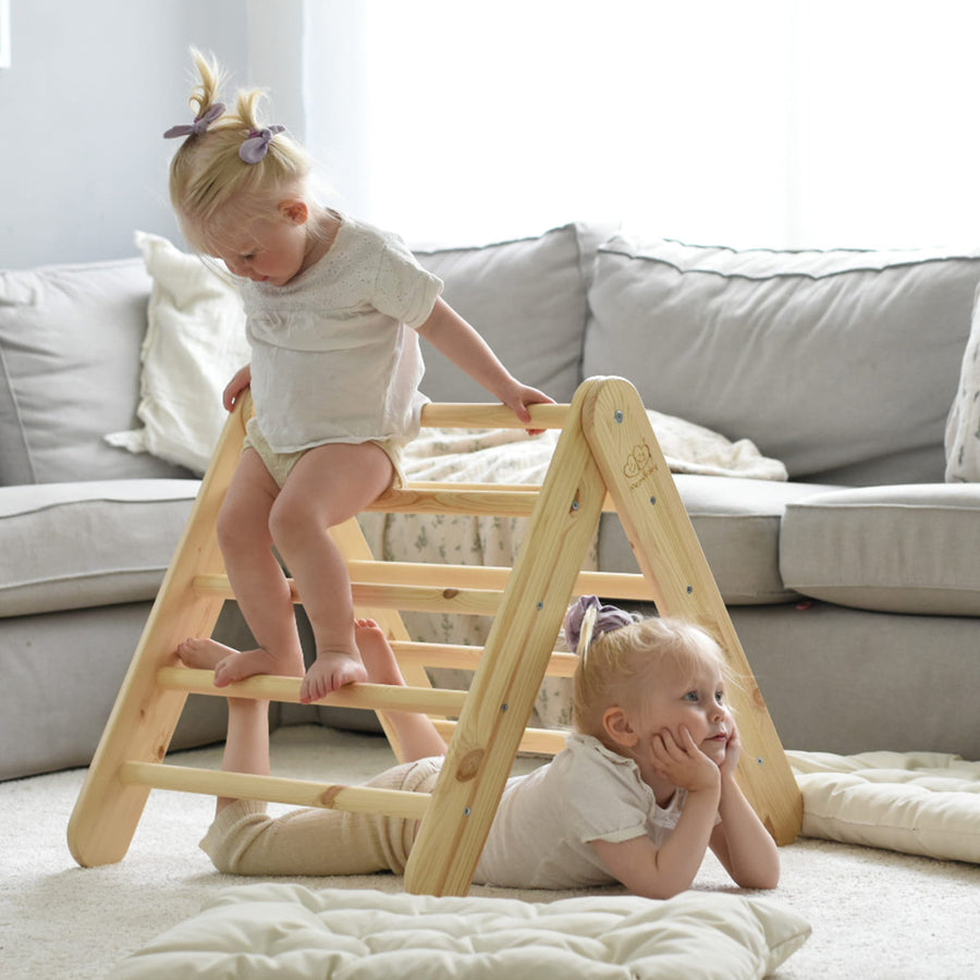 Kids Playhouse with Ladder & Tent – Fun & Safe Indoor Play by MeowBaby at www.brixbailey.com