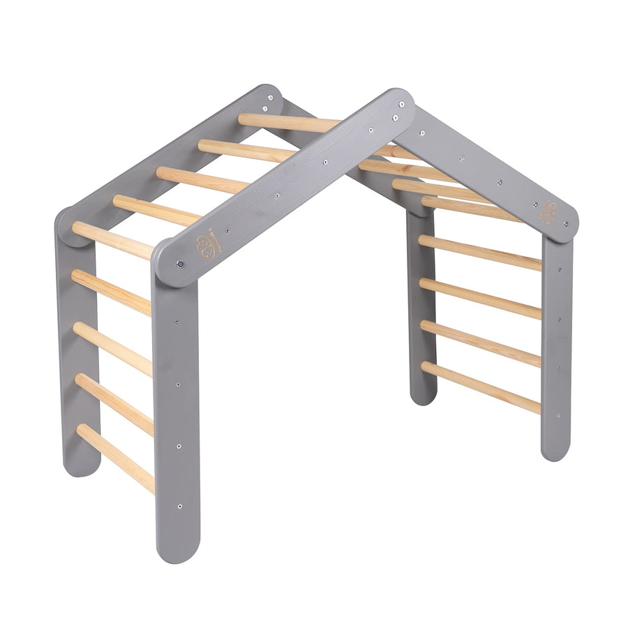 2-in-1 Kids Ladder House & Tent – Versatile Indoor Playground by MeowBaby at www.brixbailey.com