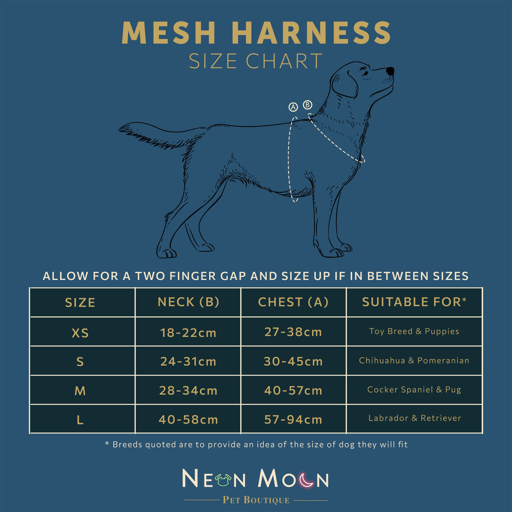 Mesh Pet Harness in Leopard Print Blue and Pink