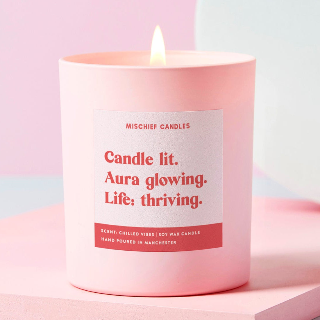 Positivity Gift Funny Self-Care Gift Soy Wax Candle Life Thriving