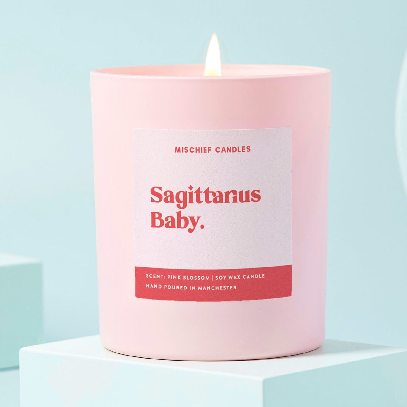 Sagittarius Birthday Gift Funny Zodiac Candle Sagittarius Baby