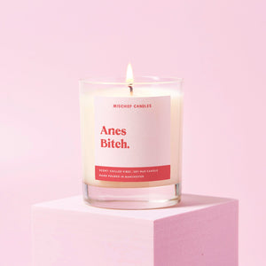 Aries Birthday Gift Funny Zodiac Candle Aries Bitch