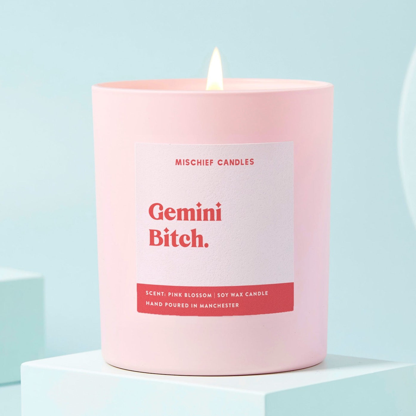 Gemini Birthday Gift Funny Zodiac Candle Gemini Bitch