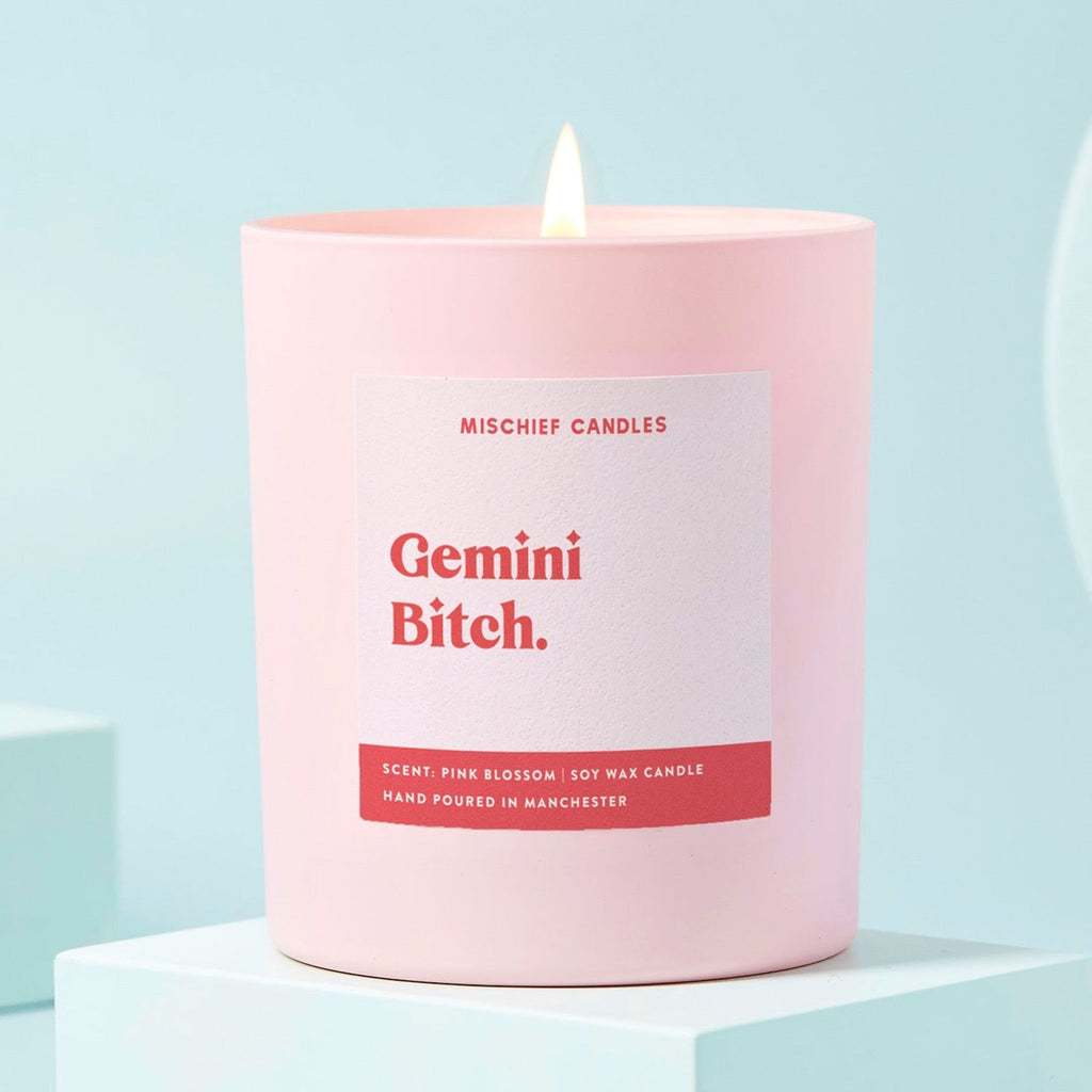 Gemini Birthday Gift Funny Zodiac Candle Gemini Bitch