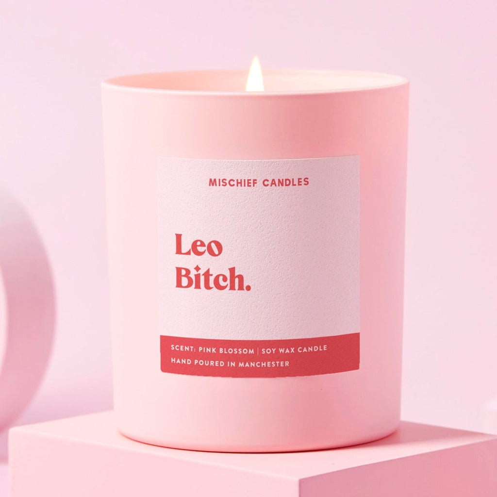 Leo Birthday Gift Funny Zodiac Birthday Candle Leo Bitch